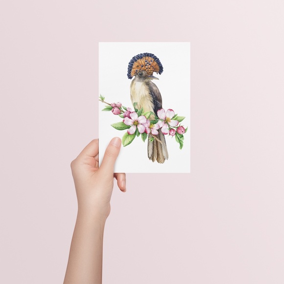 Flycatcher Bird Wall Art Watercolor Illustration Print Poster Card Unframed - Picture 5 of 7